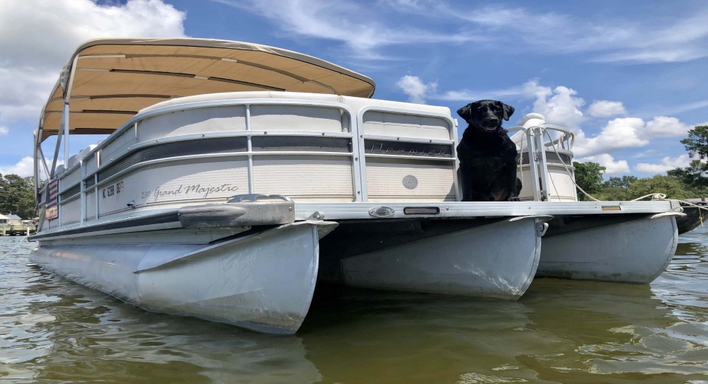 Twin Engine Yamaha 4stroke115 Hptri Toon Sterling Marina & Rentals
